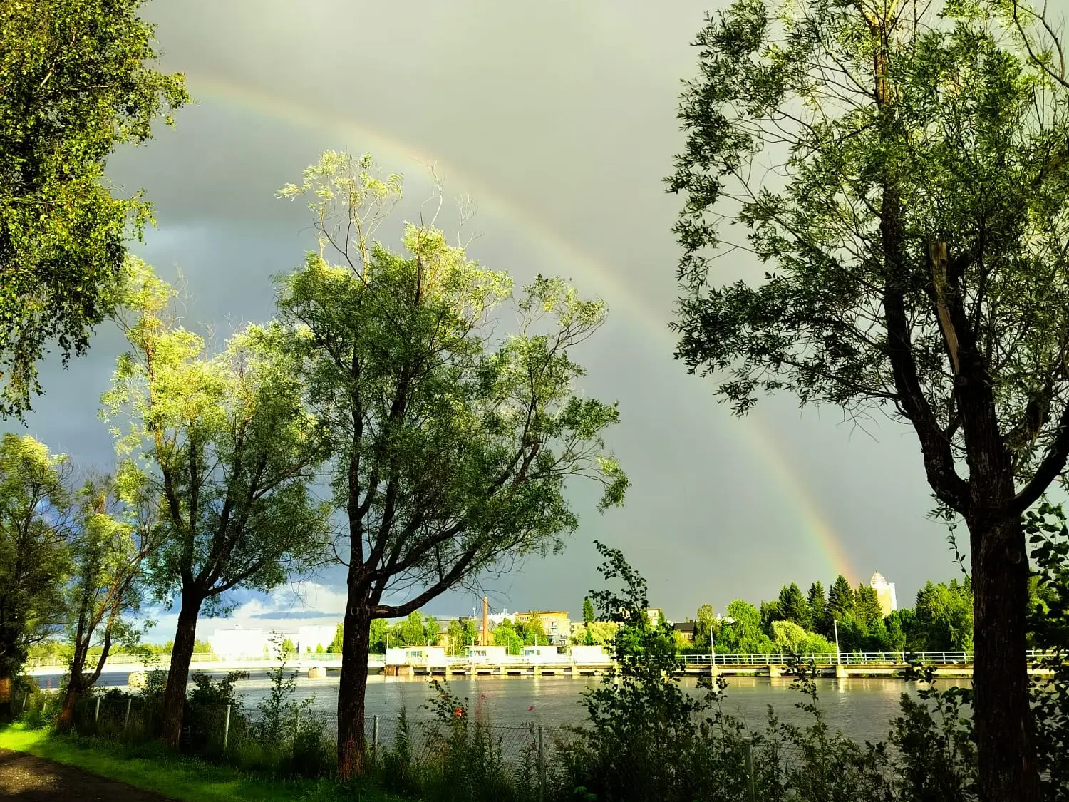 Kaunis kesäinen kuva joen rannasta. Yllä näkyy sateenkaarta.